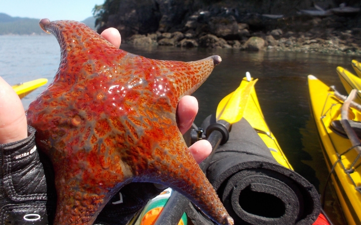 women unplug on kayaking adventure